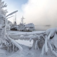 Наморозило :: Марина Фомина.