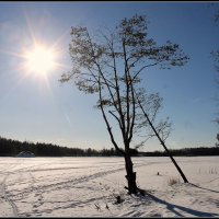 Светит но не греет :: Aleksandr Gal