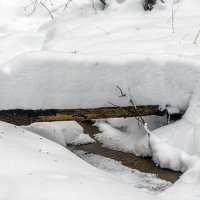 Лесной ручей борется с морозом и снегом :: Сергей Цветков