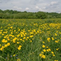 Весна :: Владимир Жуков