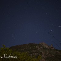Природа Крыма :: Amazing Cosmea