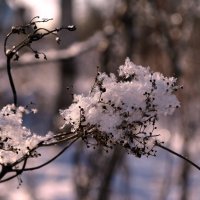 Сказка :: AleksSPb Лесниченко