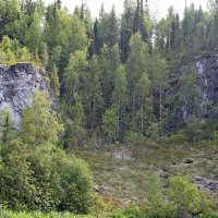 Вход в тайгу. :: ВикТор Быстров