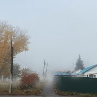 *** :: Алексей Вирусян