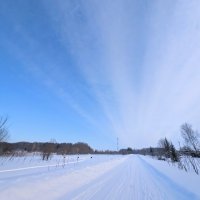 Перспектива :: Анастасия Логинова