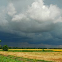 Перед грозой. :: Владимир 