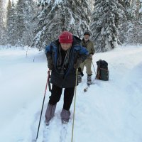 Устали таежники :: Galaelina ***