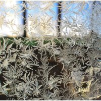 Мороз рисует на стекле. :: Михаил. 