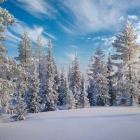 Царство дедушки Мороза ... :: Ravile 