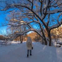 Прогулки в Зимнем Парке :: юрий поляков