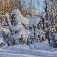 Вход на дачу. :: Александр Максимов