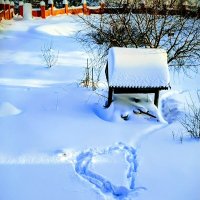 С любовью. :: Михаил Столяров