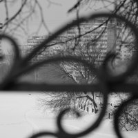 Эскиз забора :: Мария Яковлева