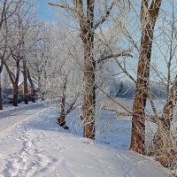 Зимнее :) :: Татьян@ Ивановна