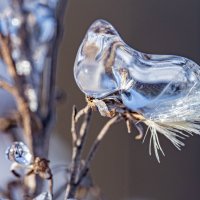 «Зимние бриллианты — бесплатно и в неограниченном количестве». :: Екатерина Счасная