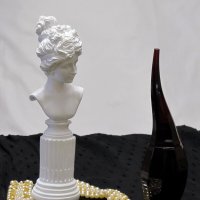 Белое и чёрное... :: Татьяна Гнездилова