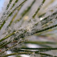 Хрустальные снежинки :: Дарья Меркулова