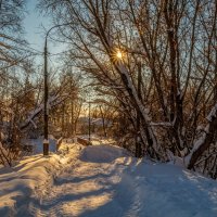 Январское утро 4 :: Андрей Дворников