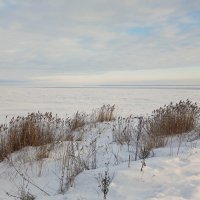 Ладожское озеро :: Наталья Герасимова