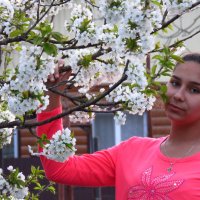 Алена :: Николай Я