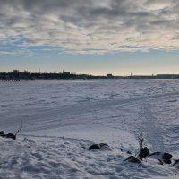 Нева :: Наталья Герасимова