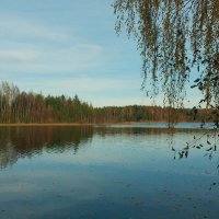 Река Грузинка :: Елена Суханова