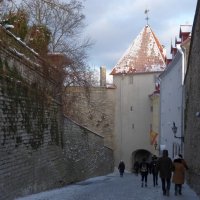 Таллинн :: Елена Суханова