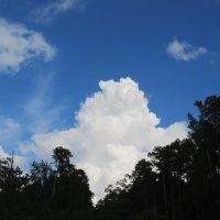 облако :: Елена Шаламова