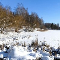 Февраль на Смоленщине. :: Милешкин Владимир Алексеевич 