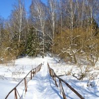 Мостик через речку. :: Милешкин Владимир Алексеевич 