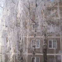 Морозно :: Елена Семигина Морозно :: Елена Семигина