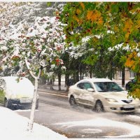 Снег в сентябре. :: Михаил. 