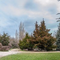 Последний снег :: Варвара 