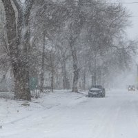 Заметает :: Константин Бобинский