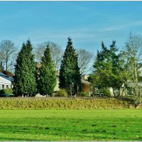 НА КРАЮ ПОЛЯ... :: Elvira E. 