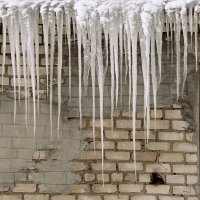 Оскал Зима в предчувствии кончины :: Елена Минина Оскал Зима в предчувствии кончины :: Елена Минина