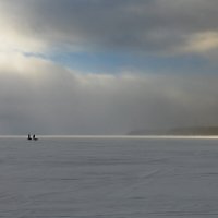 * :: Светлана Воробьева