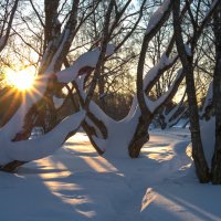 ***** :: юрий поляков