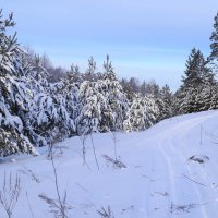 По зимним тропам :: Сергей Ц