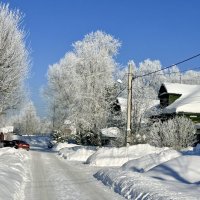 «Серебряная вуаль зимы» :: Арина Невская «Серебряная вуаль зимы» :: Арина Невская