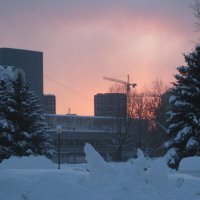 Февральская заря :: Дмитрий Никитин