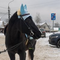 Зарисовки в пути :: Michel 