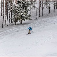 Активный отдых... :: Aquarius - Сергей