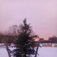 Закат :: Сапсан 