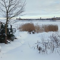 *** :: Наталья Герасимова