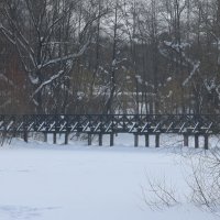 В зимнем парке :: Дмитрий И_