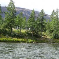 Полярный Урал. Ямал :: Tata Wolf