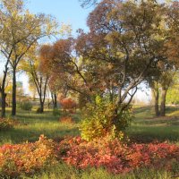 прекрасный октябрь :: Елена Шаламова
