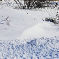Снег нетронутый. Почти... :: Юрий Гайворонскiий