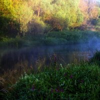 *** :: Владимир Безбородов